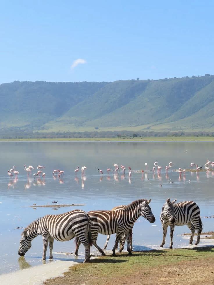 Special campsite in Tanzania wilderness